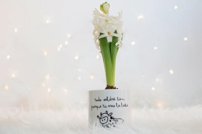 NOTICIÓN: Boho Deco SHOP abre sus puertas!!!