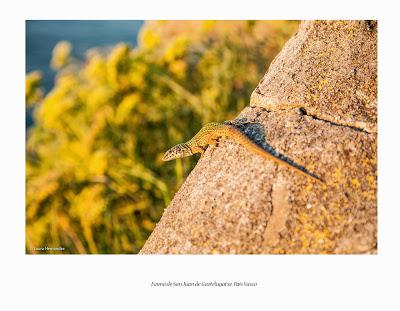 Rincones del Norte, Pais Vasco