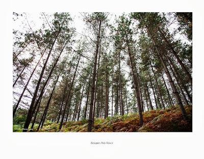 Rincones del Norte, Pais Vasco