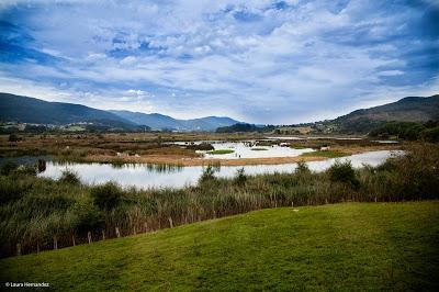 Diversidad Biológica y Conservación, Pais Vasco