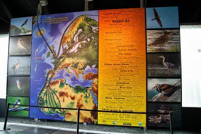 Diversidad Biológica y Conservación, Pais Vasco