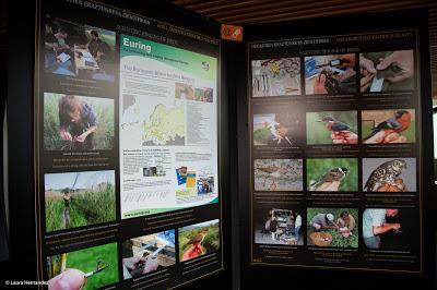 Diversidad Biológica y Conservación, Pais Vasco