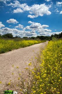 Y llegó la primavera