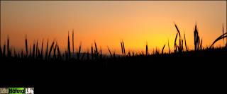 Y llegó la primavera