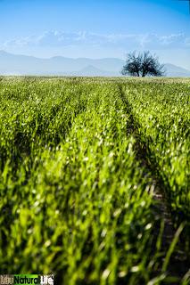 Y llegó la primavera