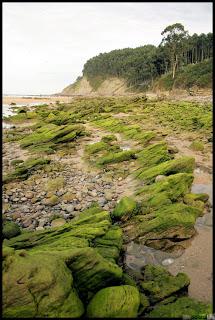Asturias, Playa de la Griega