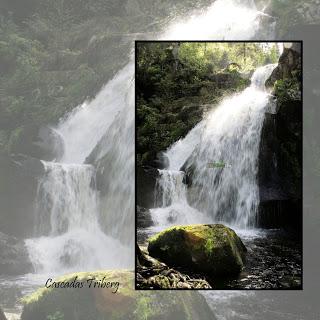 Selva Negra, Alemania