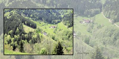 Selva Negra, Alemania