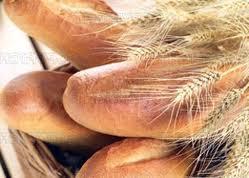 Los Daños Potenciales del Trigo