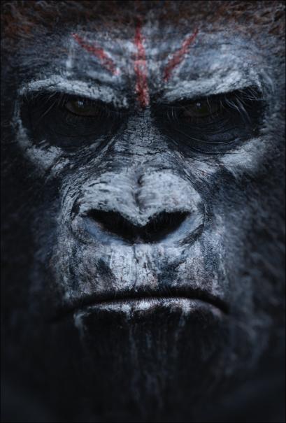 Dawn_of_the_Planet_of_the_Apes_6