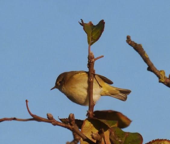 Un día corriente de primeros de diciembre