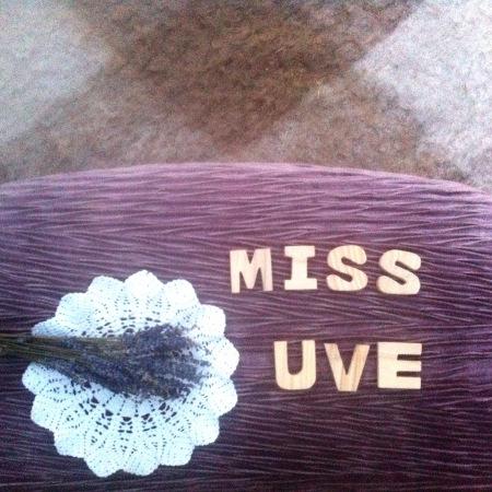 Moda Infantil: Miss Uve