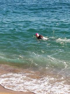 Probando en el mar neopreno Sailfish Attack