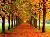 Nutro cabello, uñas piel gracias Brillodona Máyla Pharmaceuticals