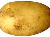 Patatas: baratas, nutritivas engordan)
