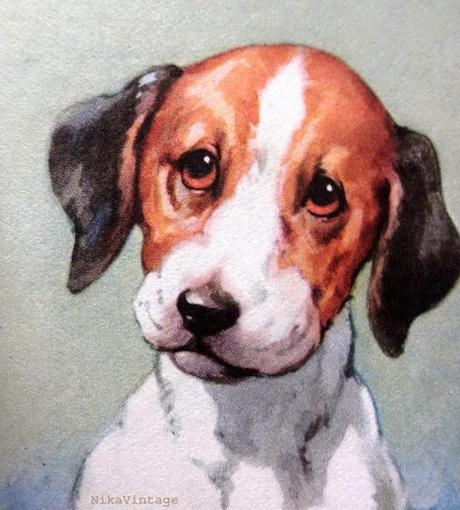 Blog hop! Macro del dia ... Perros Vintage