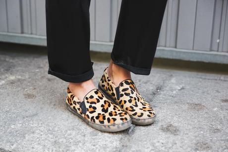 Image Hosted by ImageShack.us