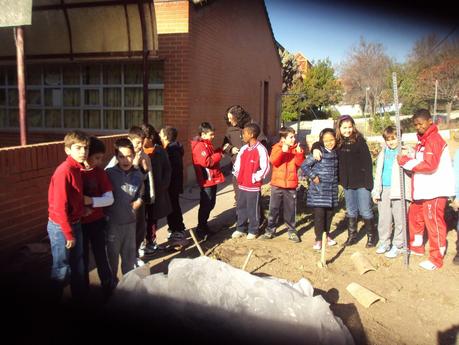 UN EXPERIMENTO EN EL HUERTO: PRIMER MES UN EXPERIMENTO EN EL HUERTO: PRIMER MES