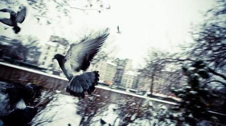 LAURENT NIVALLE, CON LA NAVIDAD A CUESTAS...