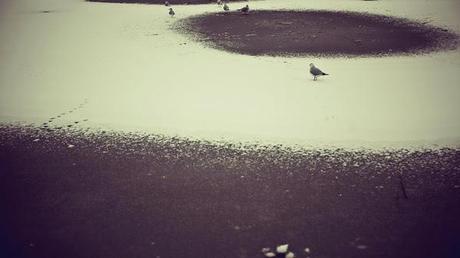 LAURENT NIVALLE, CON LA NAVIDAD A CUESTAS...