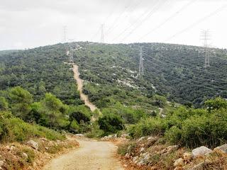 Gavá - Begues - El Sotarro - Begues - Gavá.  08/12/2013