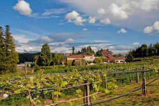 Pazo de Señorans, pionera en bioingeniería