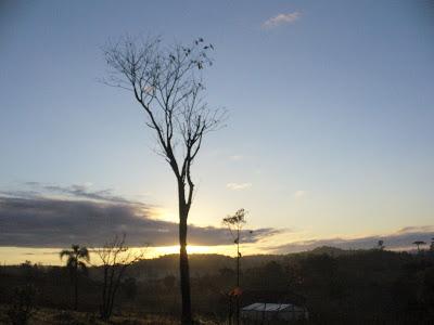 El Parque Provincial Cruce Caballero, 430 hectáreas de monte nativo para preservar este ambiente natural.