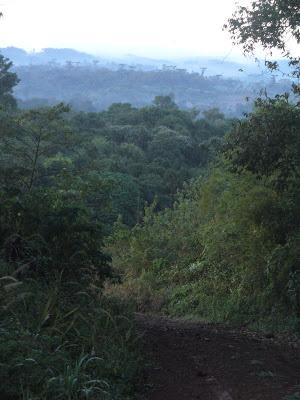 El Parque Provincial Cruce Caballero, 430 hectáreas de monte nativo para preservar este ambiente natural.