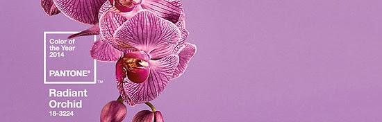 PANTONE 2014 RADIANT ORCHID