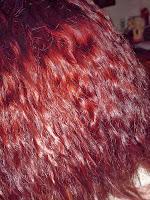 Pantene Expert, Age Defy pelo sano