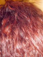 Pantene Expert, Age Defy pantene pro expert