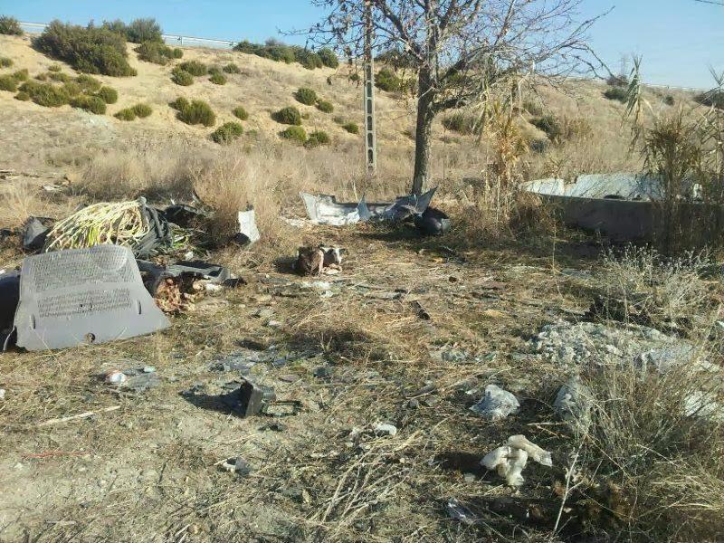 URGENTE!! GALGA MUY ENFERMA Y ABANDONADA, SU ESTADO ES DESGARRADOR. (MADRID)