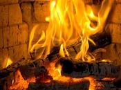 ¿Sirven Cenizas Madera Para Mejorar Jardín?