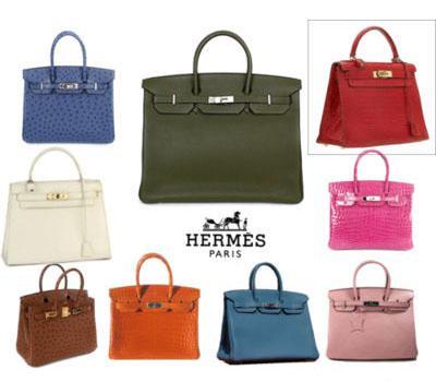 Birkin Hermès ( Iconic hand bags)