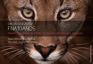 Muestra Fotográfica “FNA10AÑOS” en el Museo Gallardo (Rosario, Argentina)