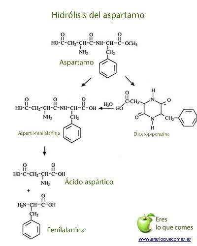 Aspartamo ¿seguro o no? metabolismo fenilalanina