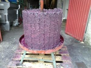 Prensando Charlotte Allen 2013