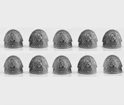 Amos de la Noche en FW:Raptors y hombreras(Y un cacho mas de Calas Typhon)