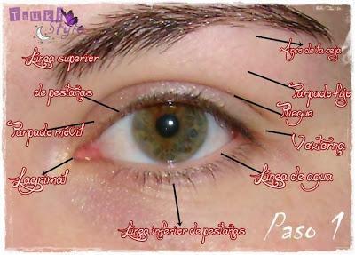 XII #Maquillaje para Dummies# ~Analiza tus ojos~ 1º Look sencillo