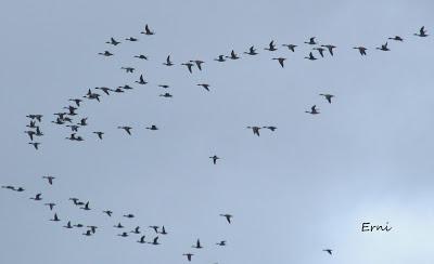 PASEANDO POR LA PLAYA