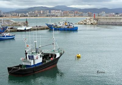 PASEANDO POR LA PLAYA