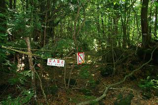 El Bosque de Aokigahara, Japón.