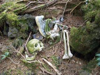 El Bosque de Aokigahara, Japón.