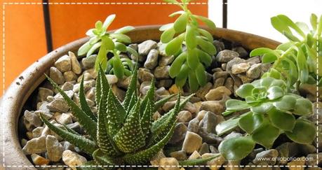 Regalos de navidad hechos por ti