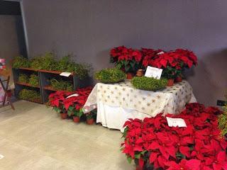 S. HA ESTADO ALLI: LITTLE MARKET DE LAS NIEVES