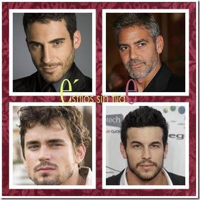 cats thumb13 Cómo cuidarse la barba