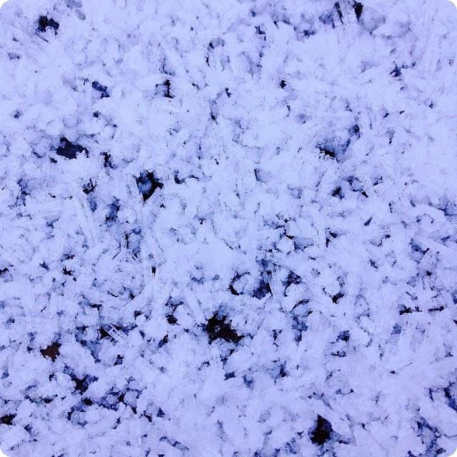 CRISTALES DE NIEVE EN EL PIRINEO