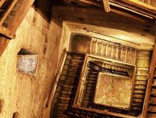 deberías perderte Bolonia