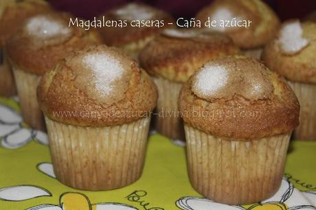 Magdalenas caseras Magdalenas caseras