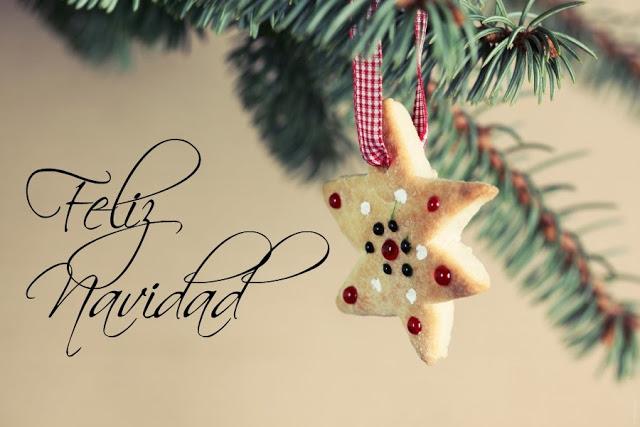 Dieta Detox por Felicidad Carrera